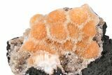 Vibrant Peach Thomsonite on Sparkling Heulandite - India #382311-1
